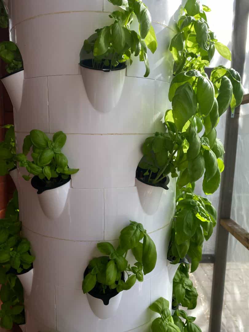 72-Hole 12-Layer Hydroponic Vertical Tower System