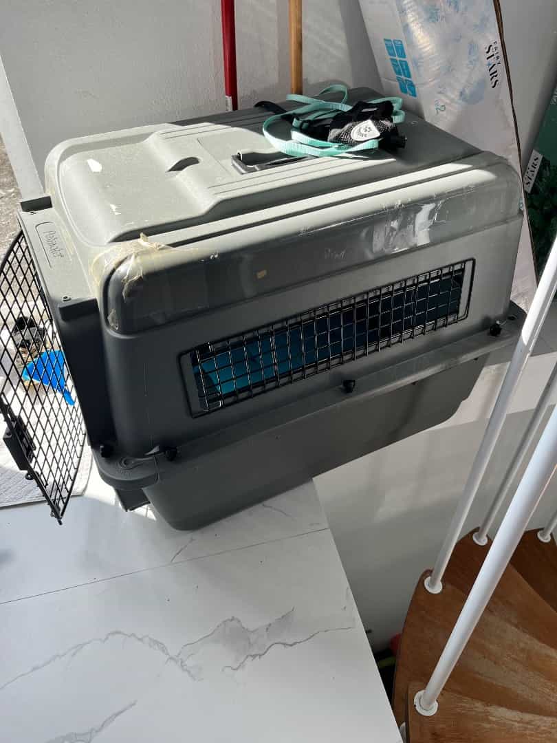 Petmate Pet Carrier Gray