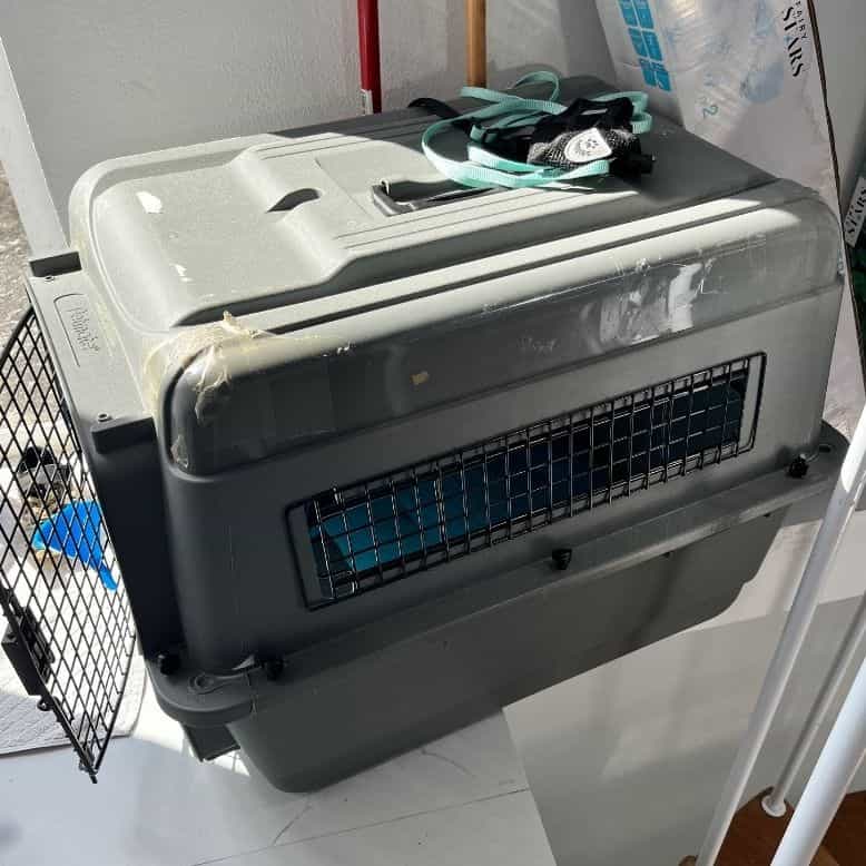 Cage transport zanimo Petmate Gris