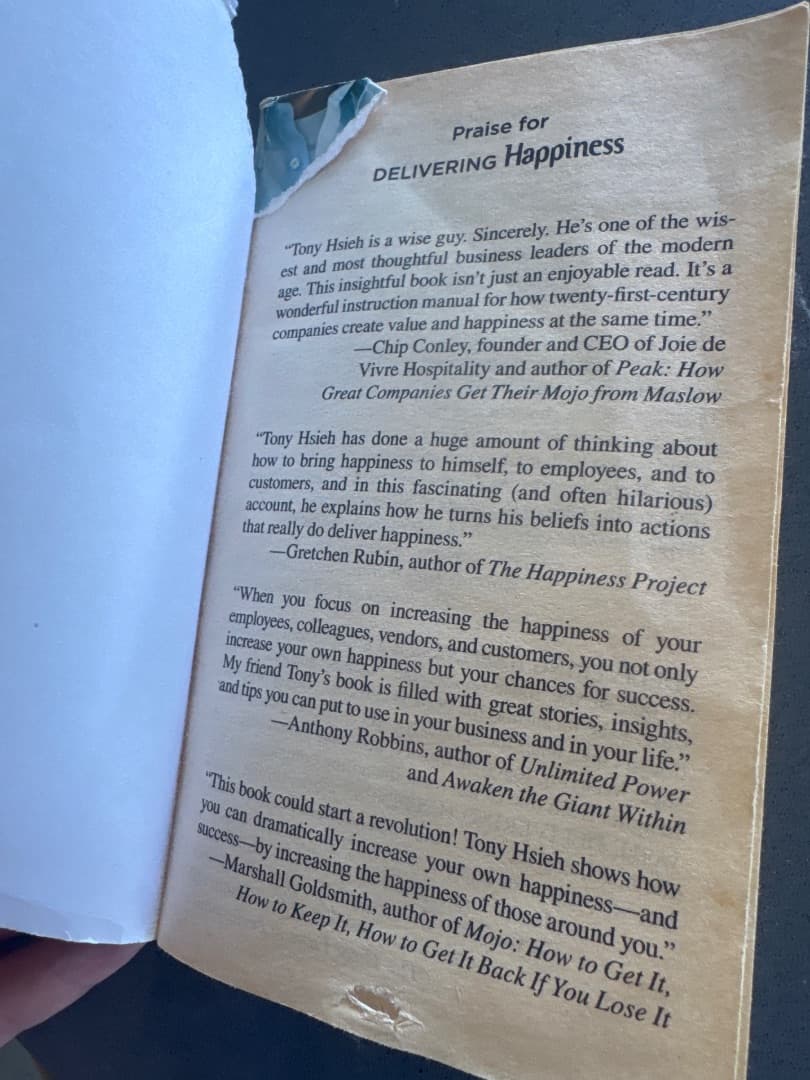 Delivering Happiness by Tony Hsieh Zappos CEO thumbnail 2