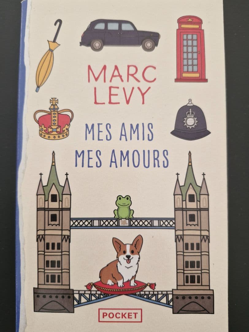 Mes Amis Mes Amours - Marc Levy (Pocket Paperback) - Image 1 of 2