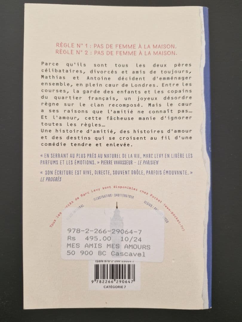 Mes Amis Mes Amours - Marc Levy (Pocket Paperback) thumbnail 2