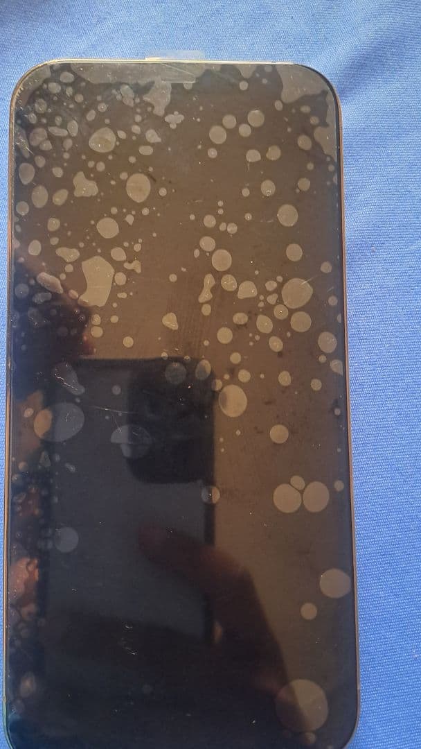 Iphone 12 pro max thumbnail 2