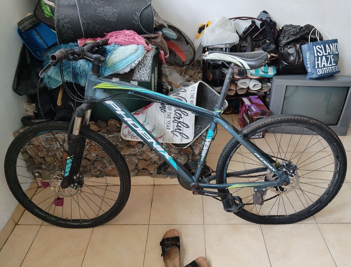Phoenix Mountain Bike Gray - Image 1 of 1