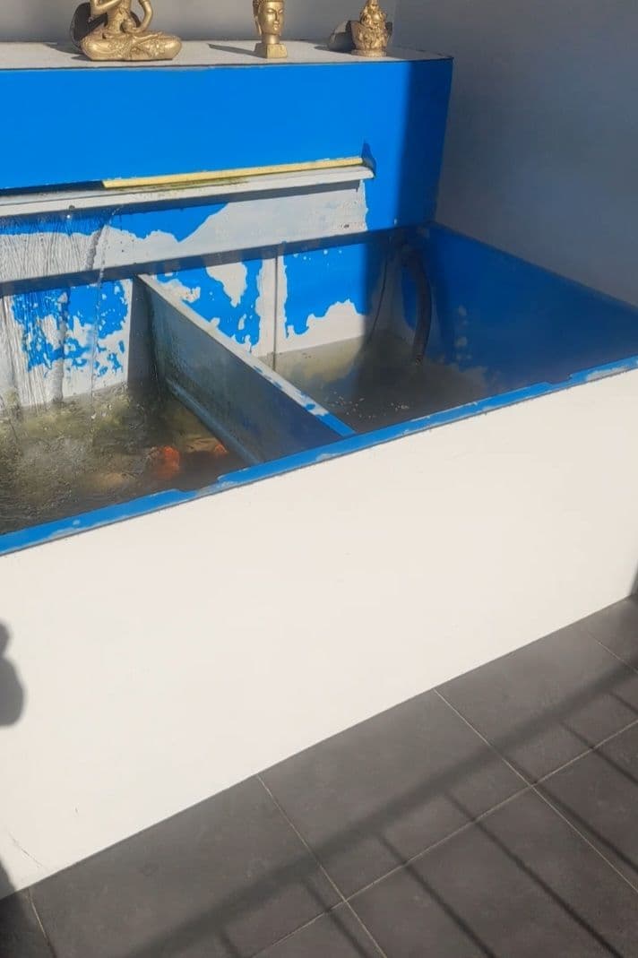Fiberglass Fish Basin 5ft x 4ft thumbnail 3