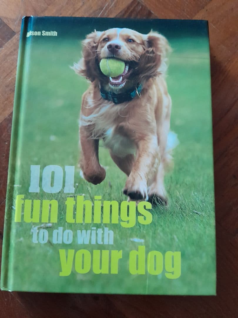 101 Fun Things to Do with Your Dog - Alison Smith thumbnail 2