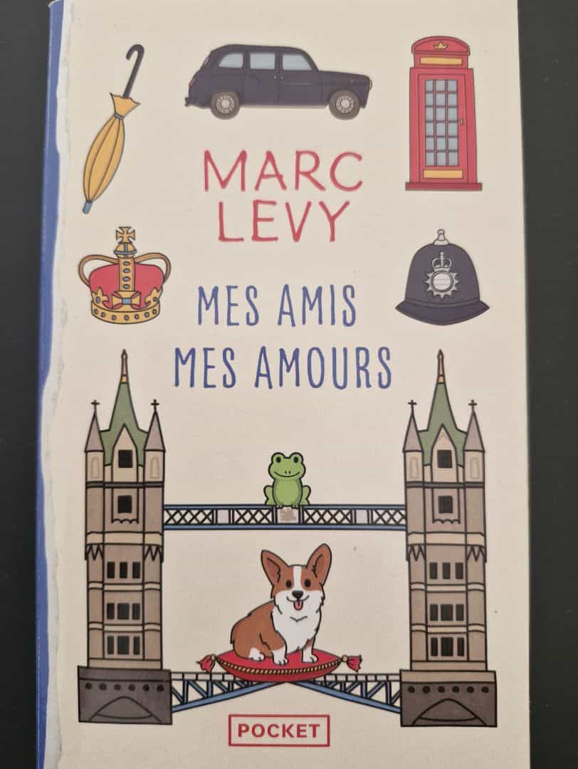 Mes Amis Mes Amours - Marc Levy (Pocket Paperback)