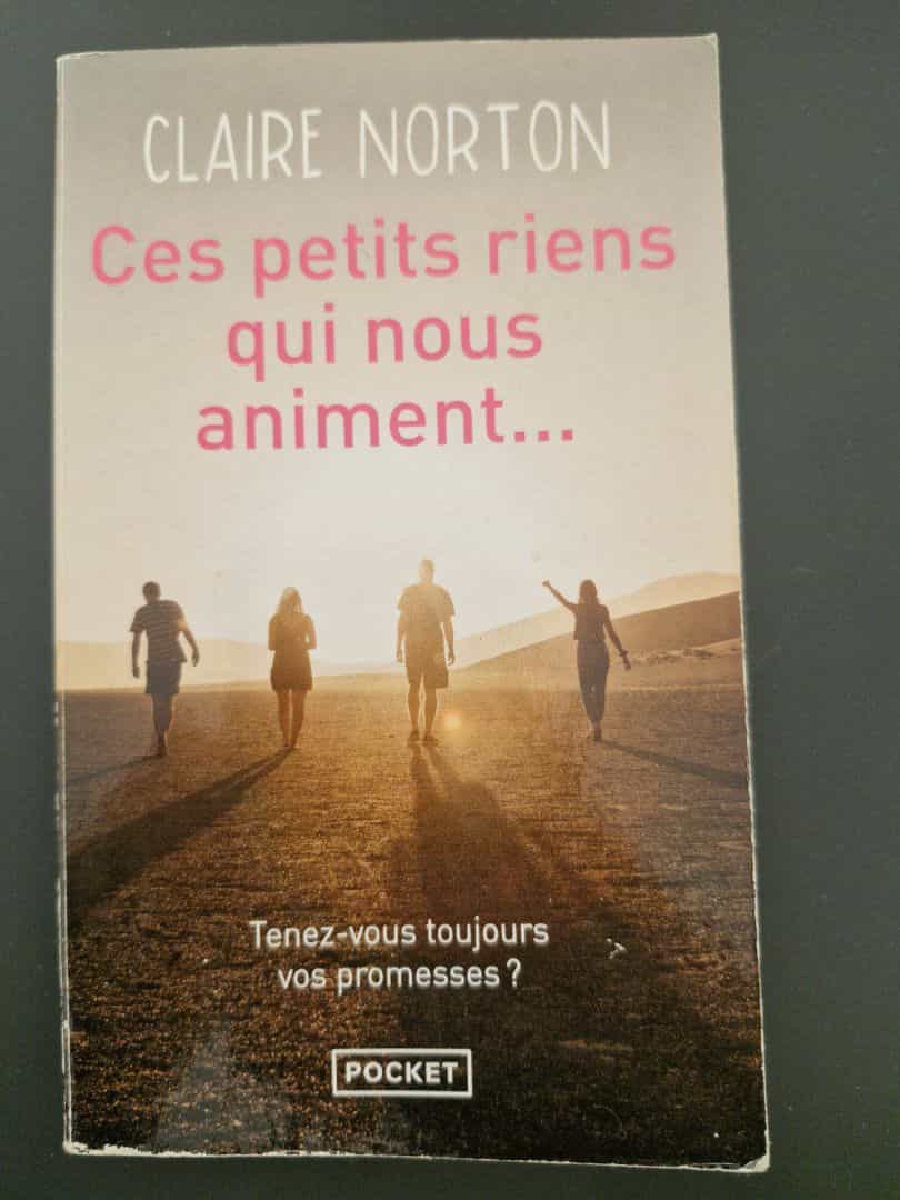Ces petits riens qui nous animent... - Claire Nortoton (Pocket Paperback)