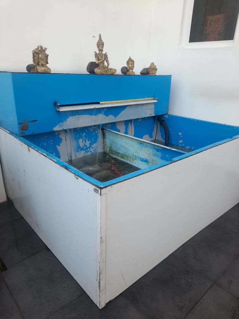 Fiberglass Fish Basin 5ft x 4ft - Image 1 of 3